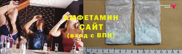 индика Алзамай