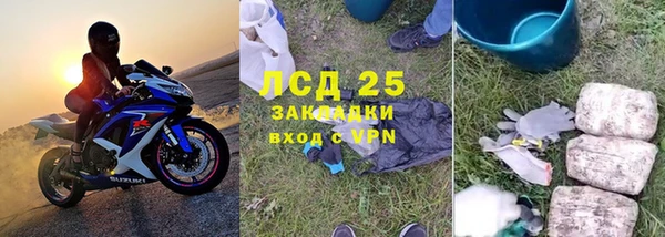 индика Алзамай