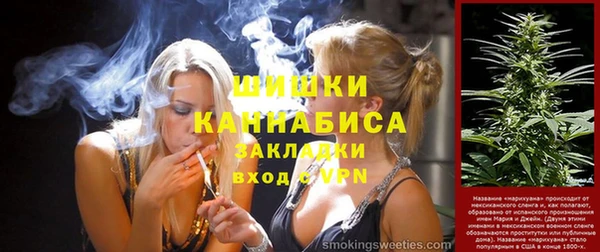 индика Алзамай