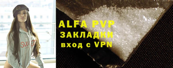 индика Алзамай