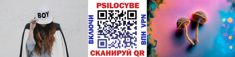 Псилоцибиновые грибы GOLDEN TEACHER  наркошоп  Нижний Ломов 