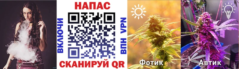 Бошки марихуана планчик  наркотики  Нижний Ломов 
